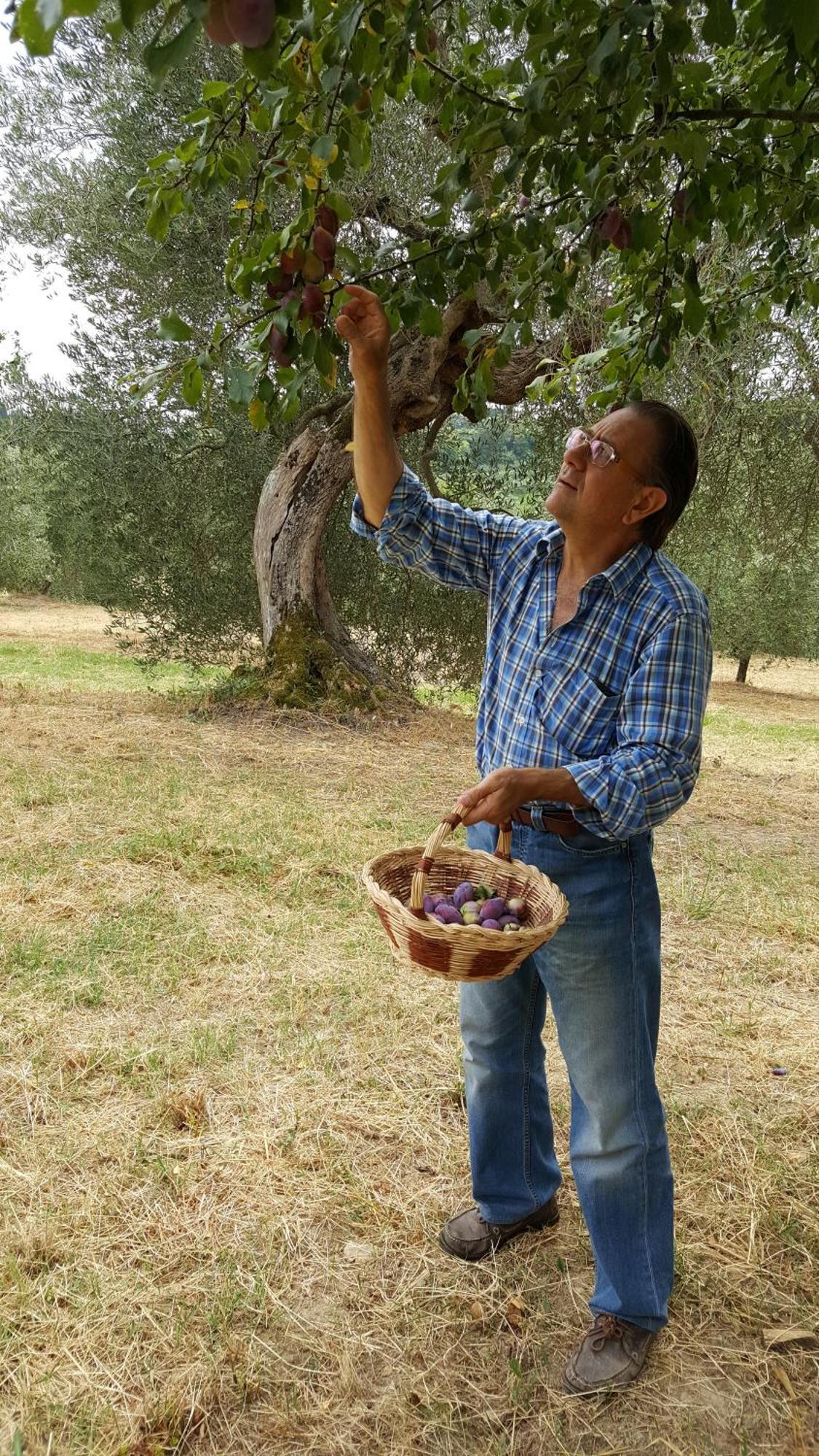 Montebello Degli Olivi 키우시 외부 사진