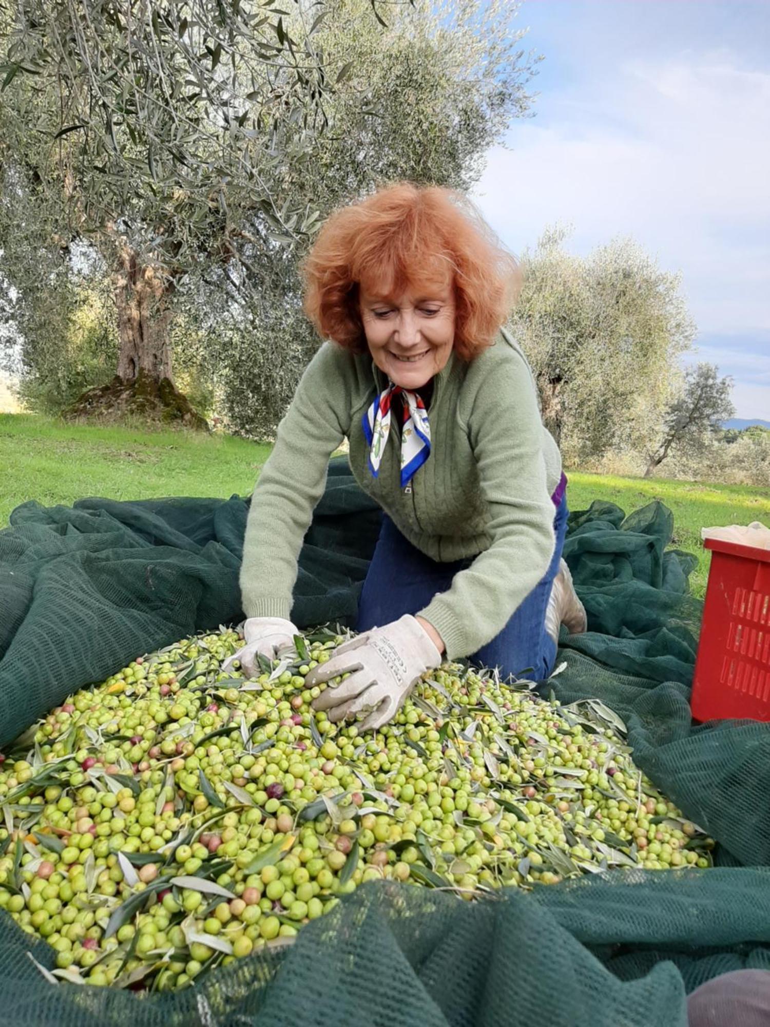 Montebello Degli Olivi 키우시 외부 사진
