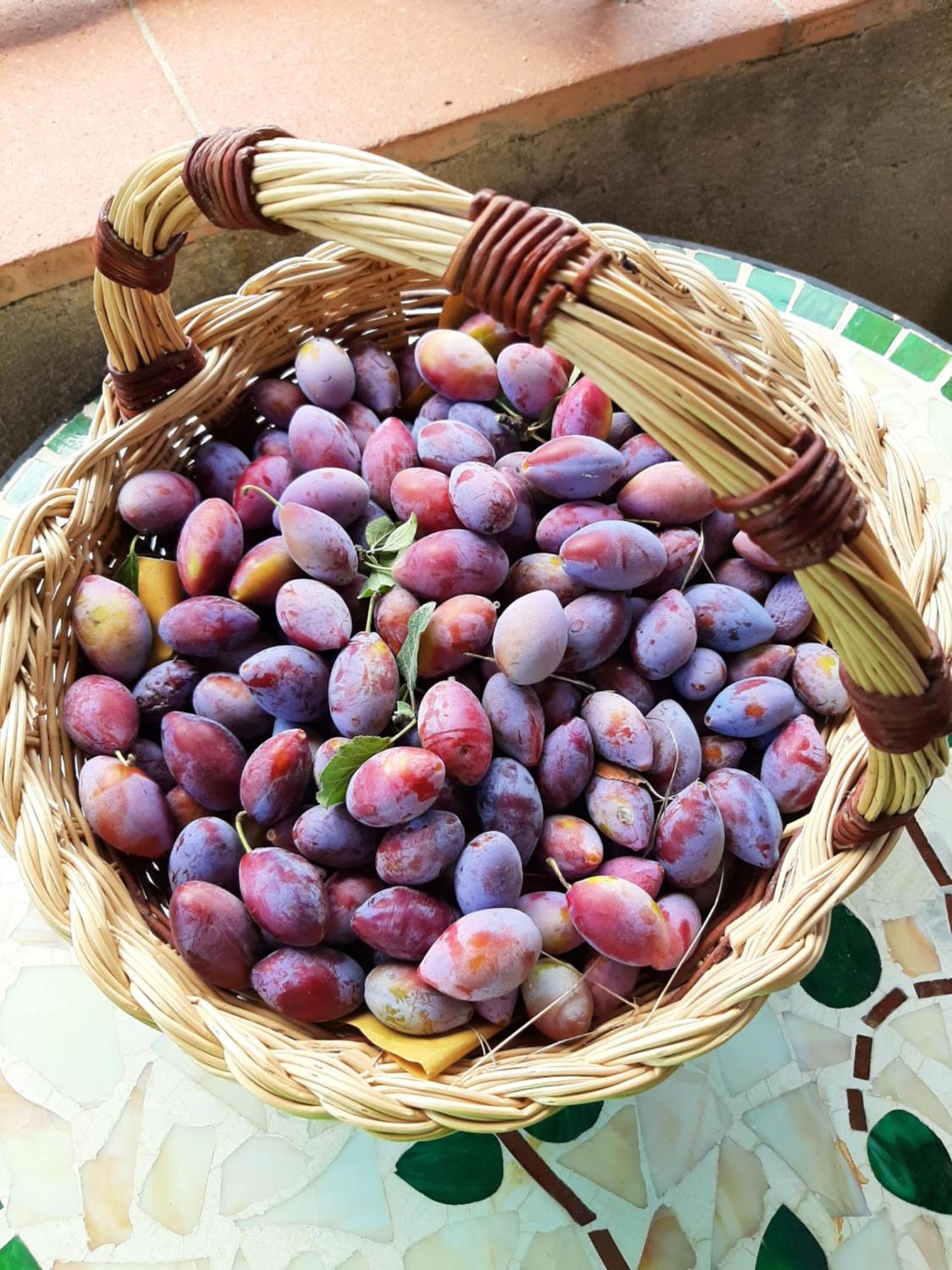 Montebello Degli Olivi 키우시 외부 사진