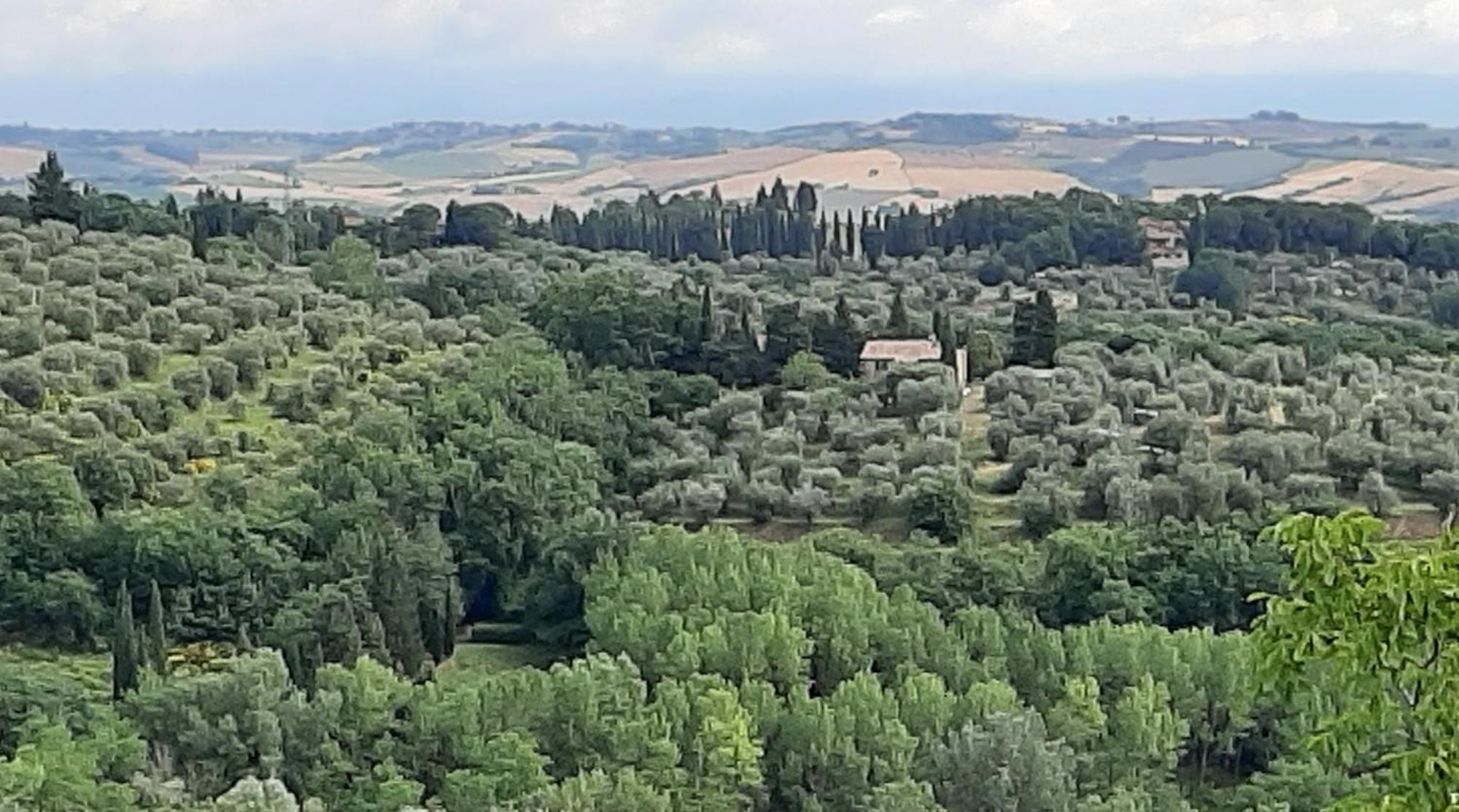 Montebello Degli Olivi 키우시 외부 사진